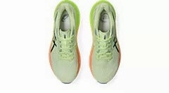 (Open Box) GT-2000 12