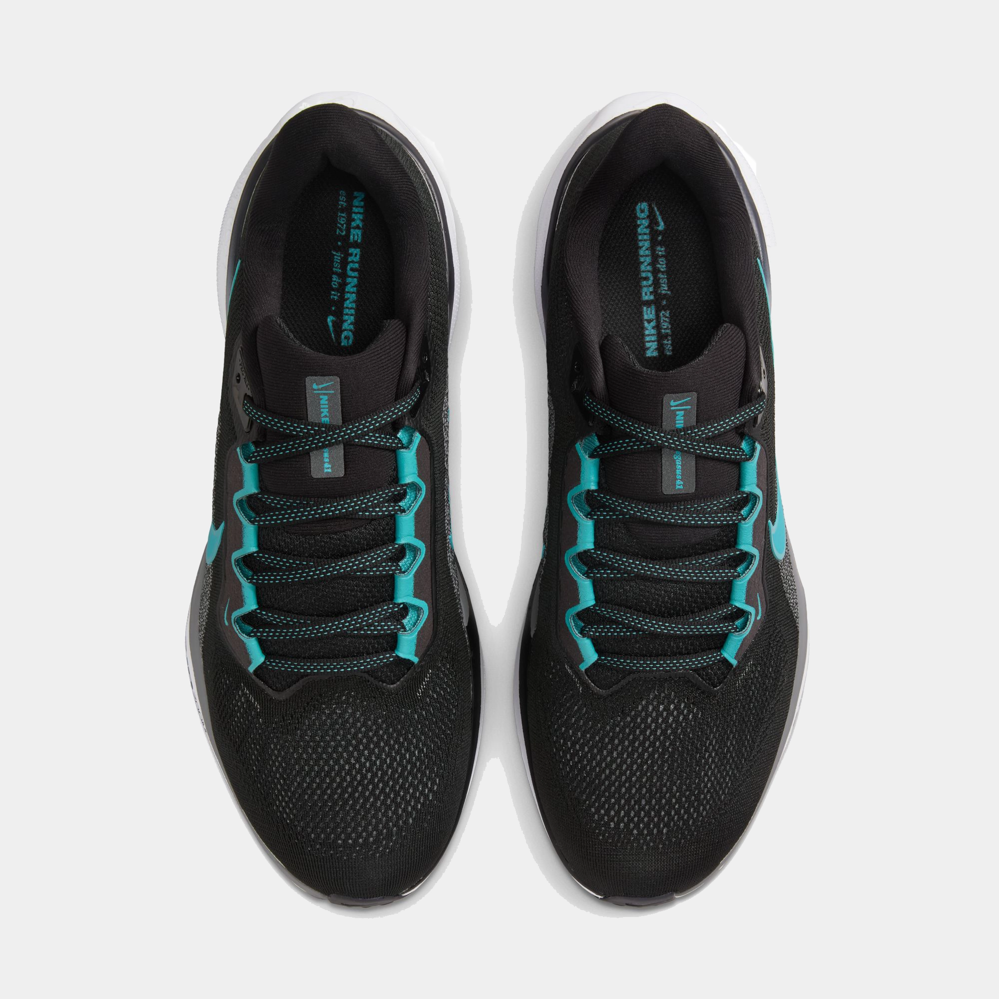 Air Zoom Pegasus 41