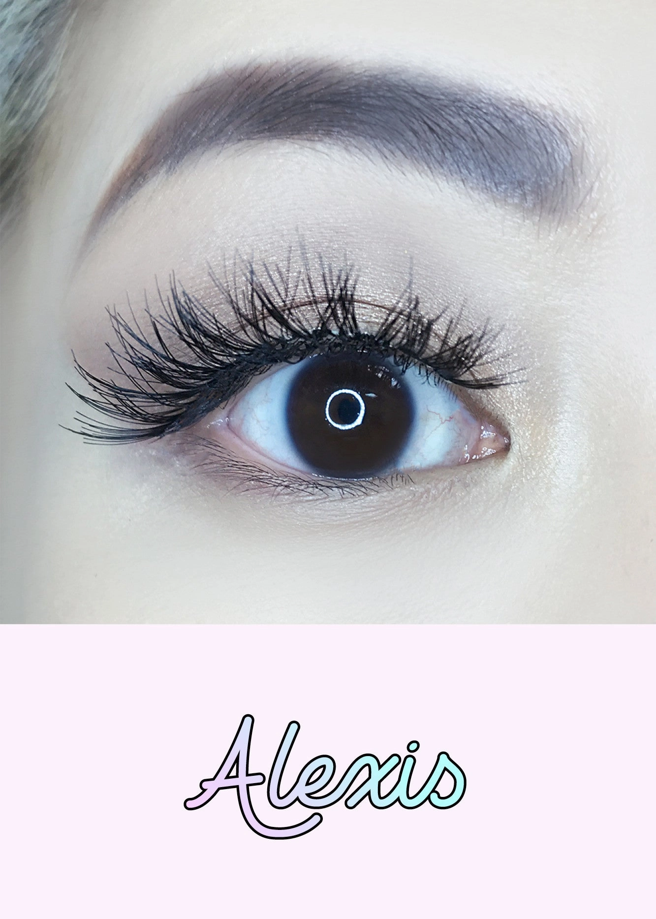 AOA Studio Eyelashes - Alexis 6-Pack