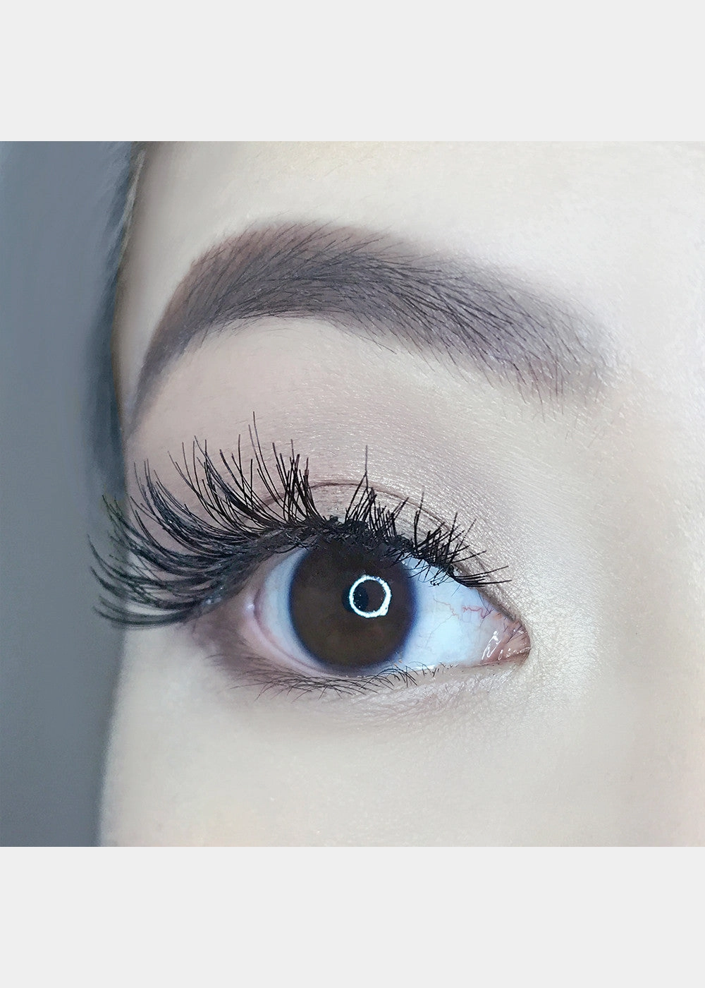 AOA Studio Eyelashes - Alexis 6-Pack
