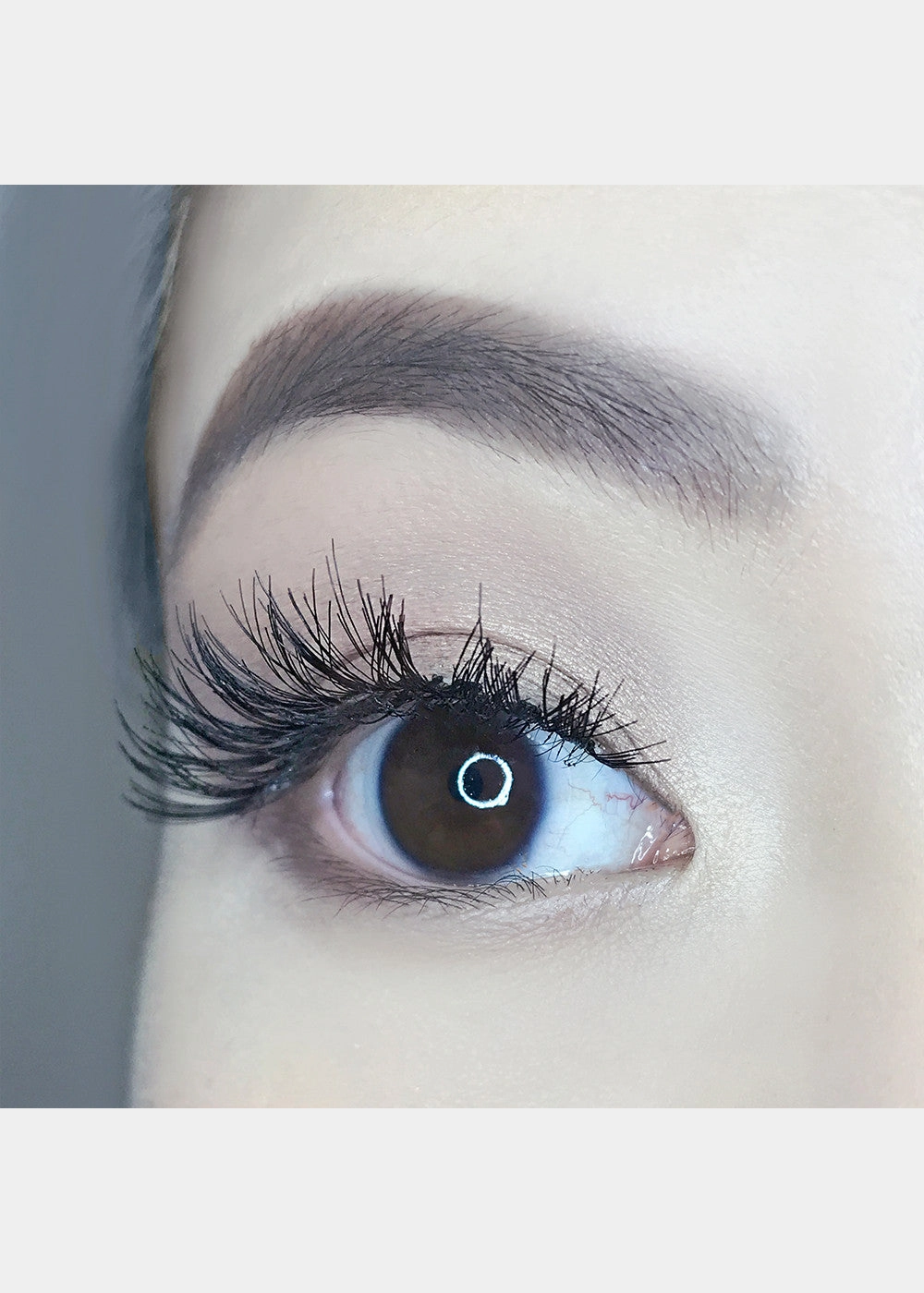 AOA Studio Eyelashes - Alexis