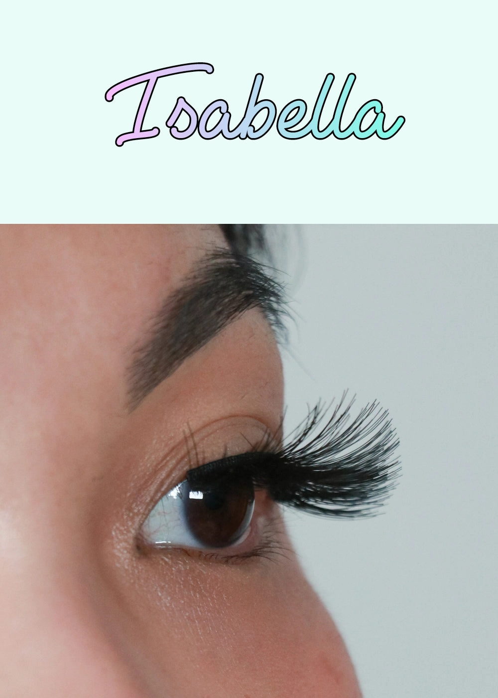 AOA Studio Eyelashes - Isabella