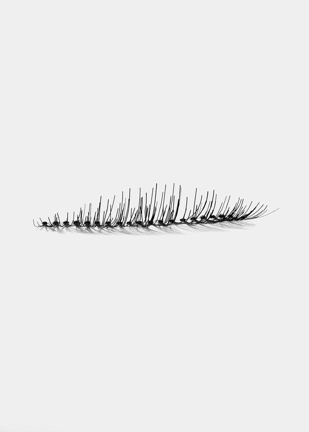 AOA Studio Eyelashes - Keira