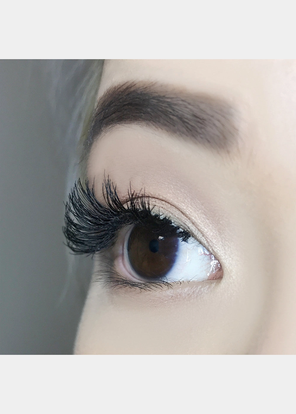 AOA Studio Eyelashes - Scarlette 6-Pack