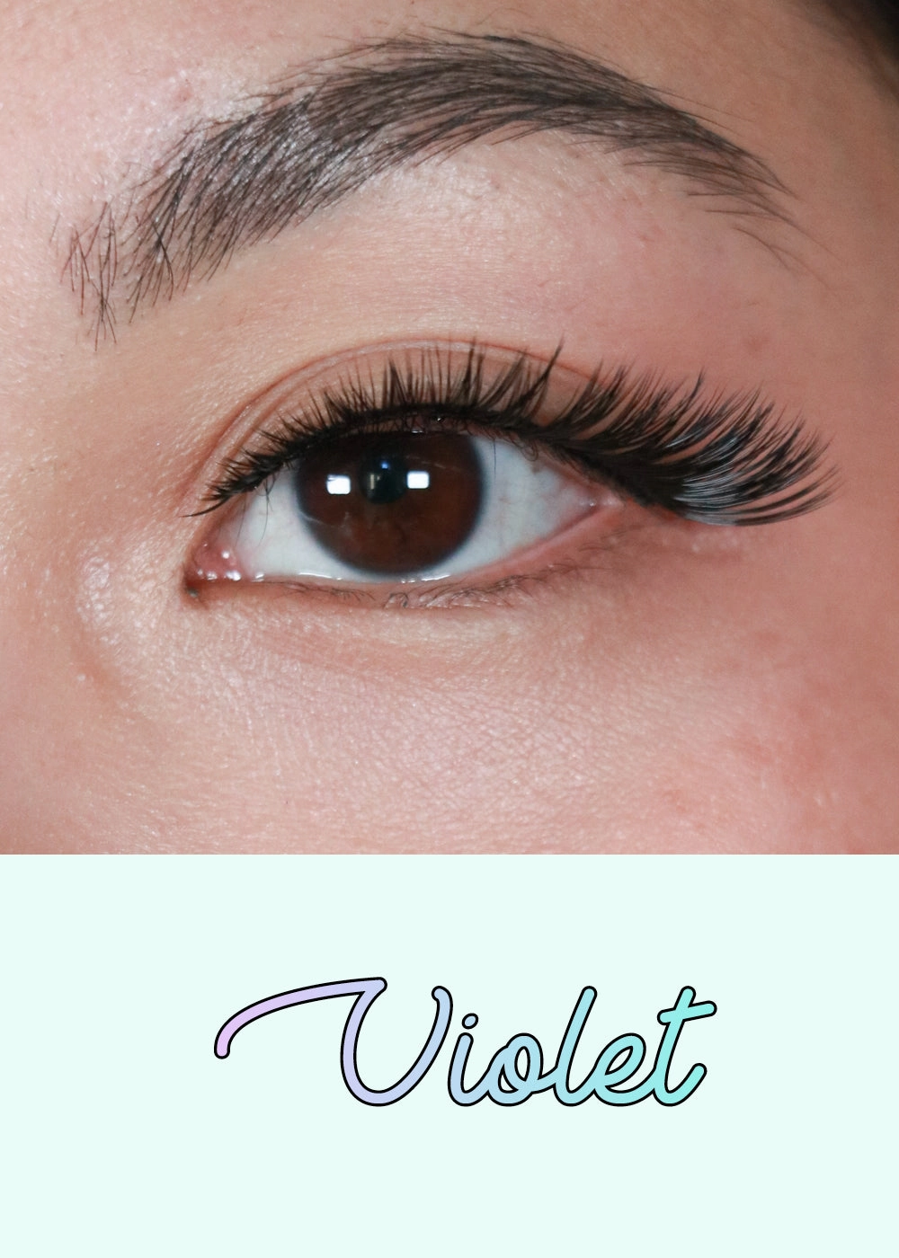 AOA Studio Eyelashes - Violet
