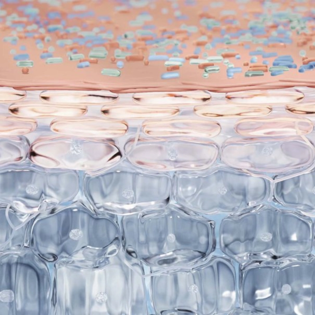 Bioderma Sensibio H2O Micellar Water Cleansing Solution