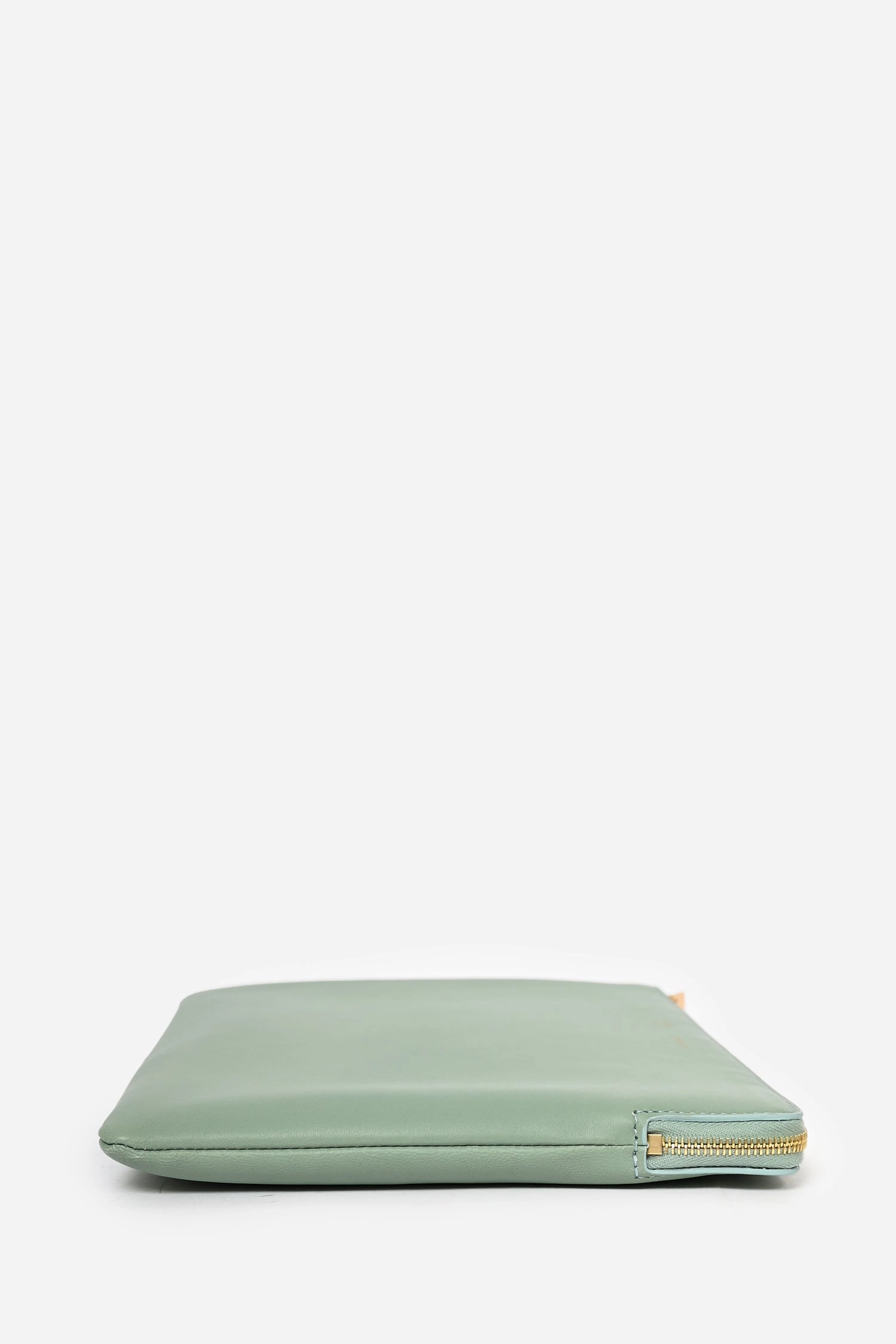 Celine Clear PVC Logo Tote with Green Leather Pouch