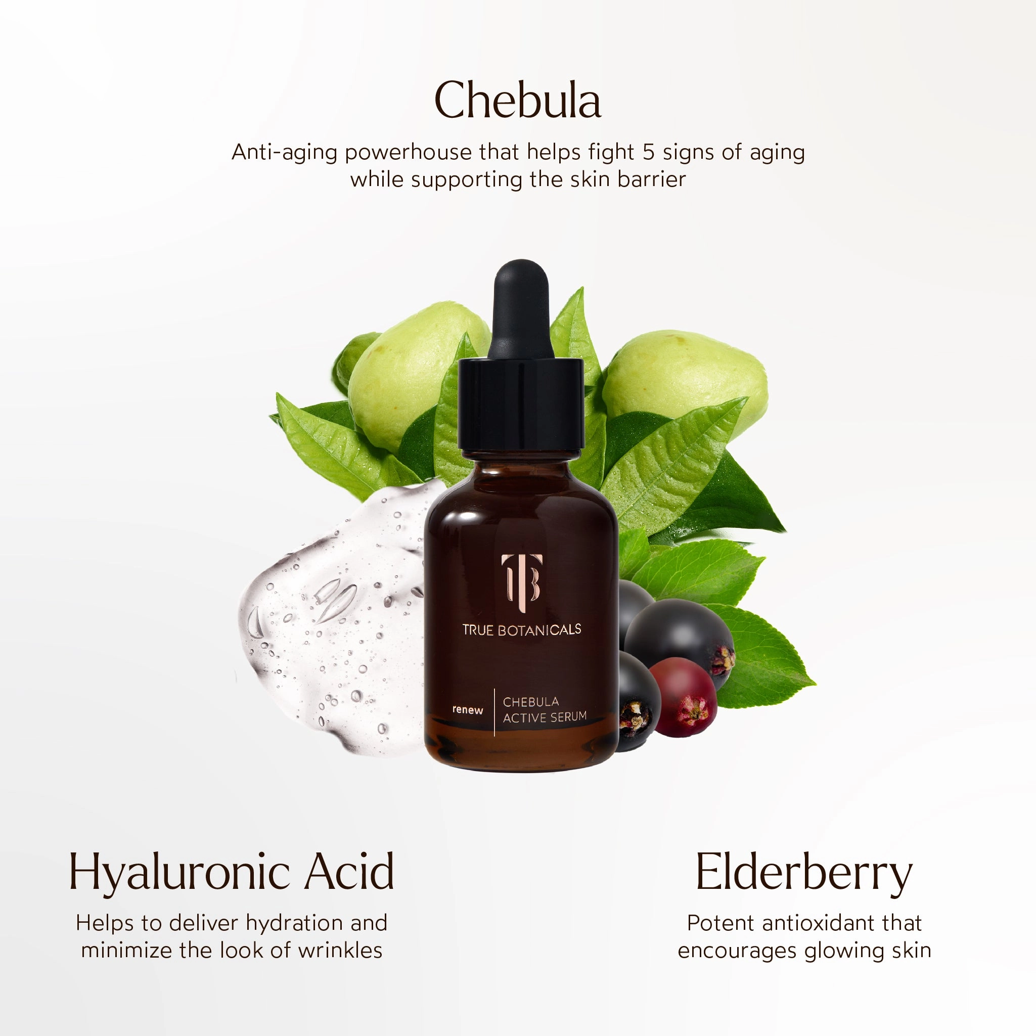 Chebula Active Anti-Aging Serum