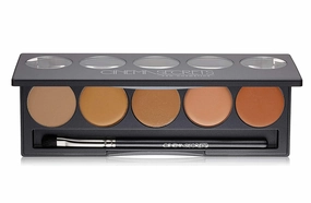 Cinema Secrets Pro Cosmetics Ultimate Corrector 5-In-1 Pro Palette No.1