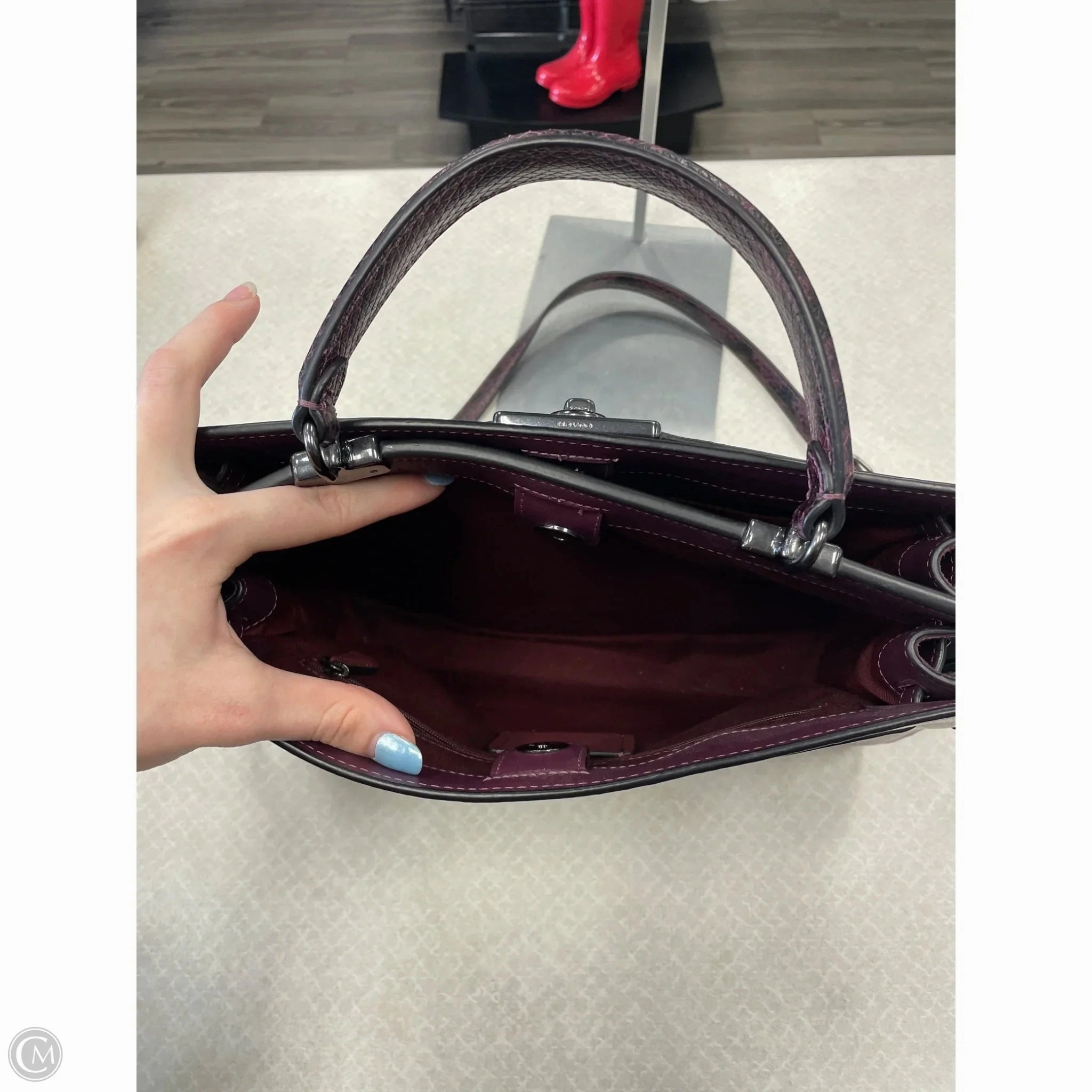 Crossbody Designer By Coach, Size: Large