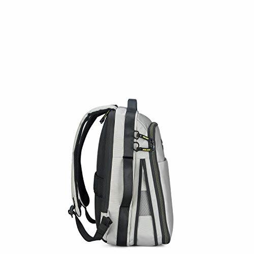DELSEY Paris Daily's Two Compartment Laptop Backpack, Light Gray, 15.6 Inch Sleeve