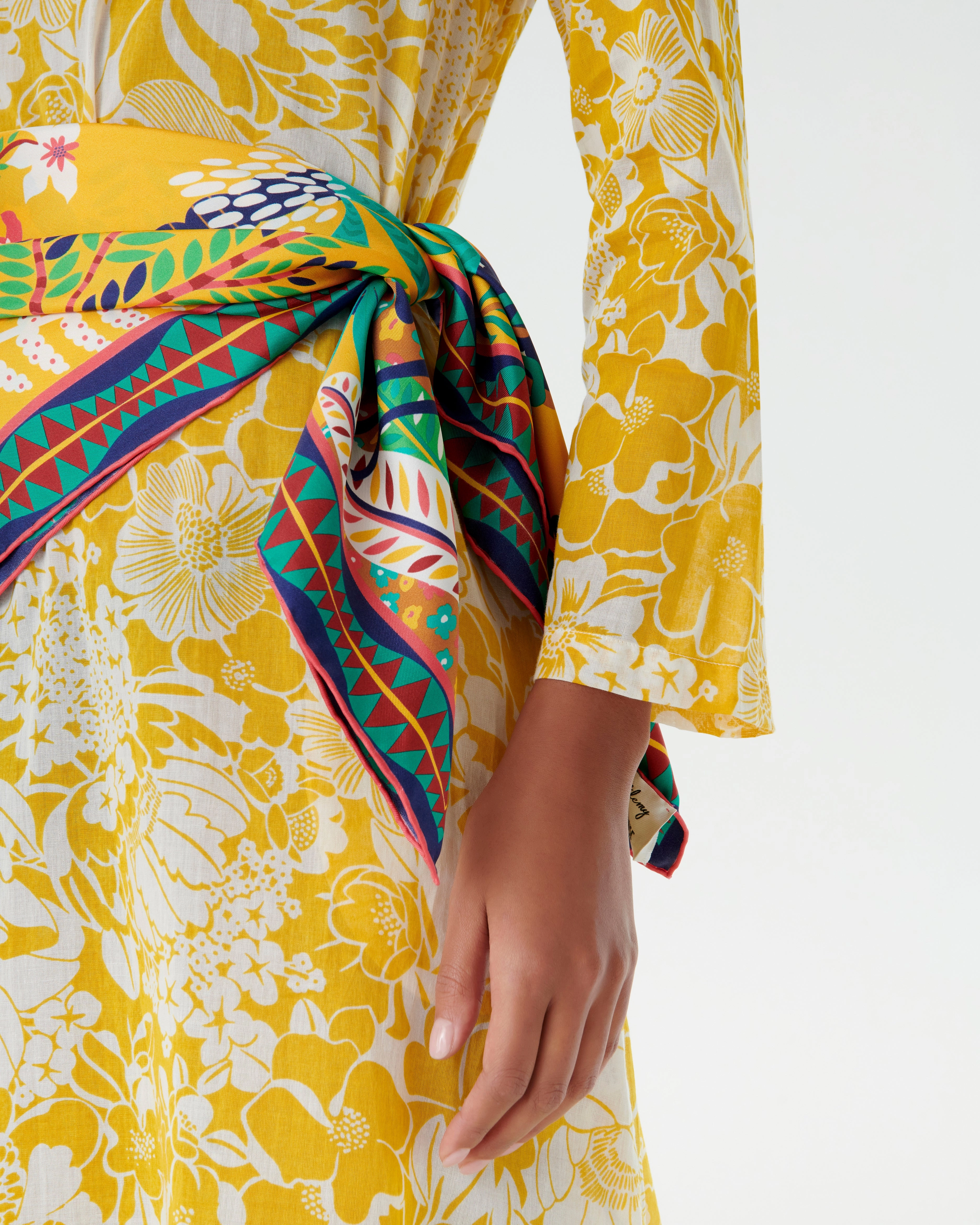 Foulard in Louis Barth??lemy Print