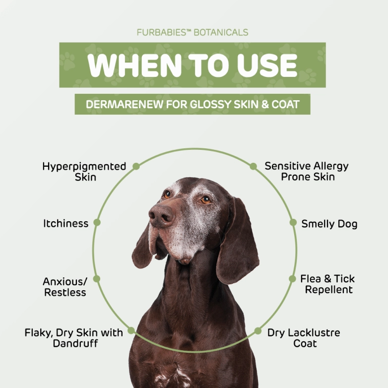 Furbabies Botanicals DermaRenew Lavender Calming Skin & Coat Repair Serum for Itchy, Balding, Smelly Dogs