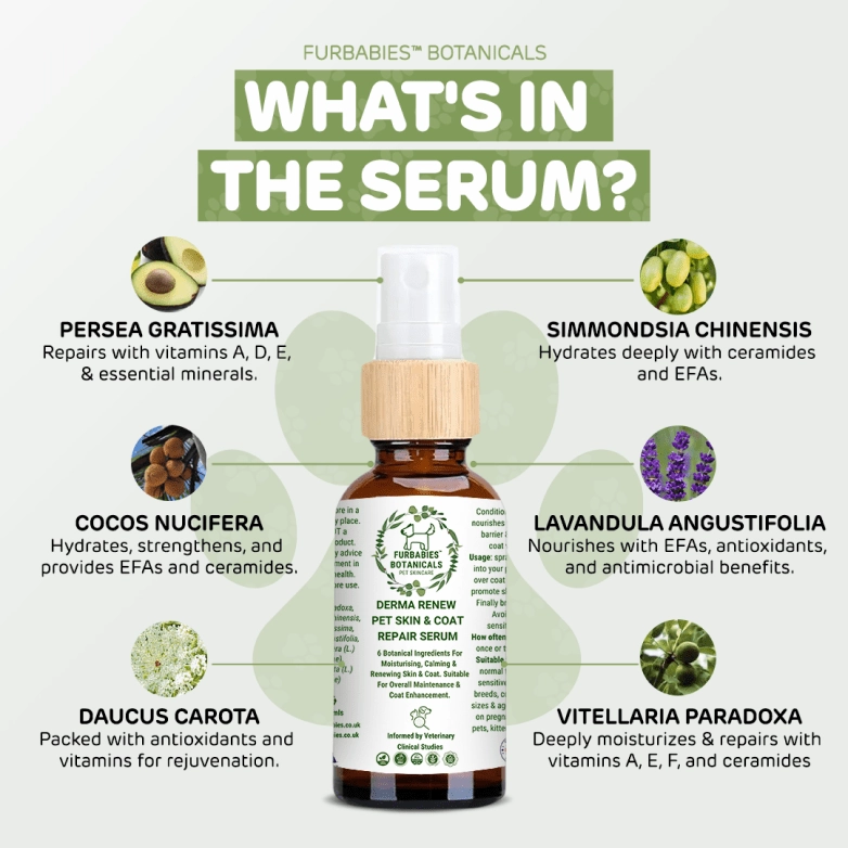 Furbabies Botanicals DermaRenew Lavender Calming Skin & Coat Repair Serum for Itchy, Balding, Smelly Dogs