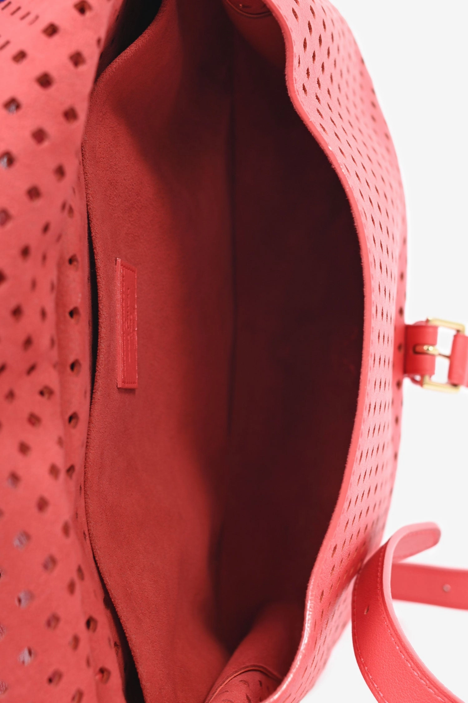 Louis Vuitton Coral Coppola Flore Perforated Saumur Messenger Bag