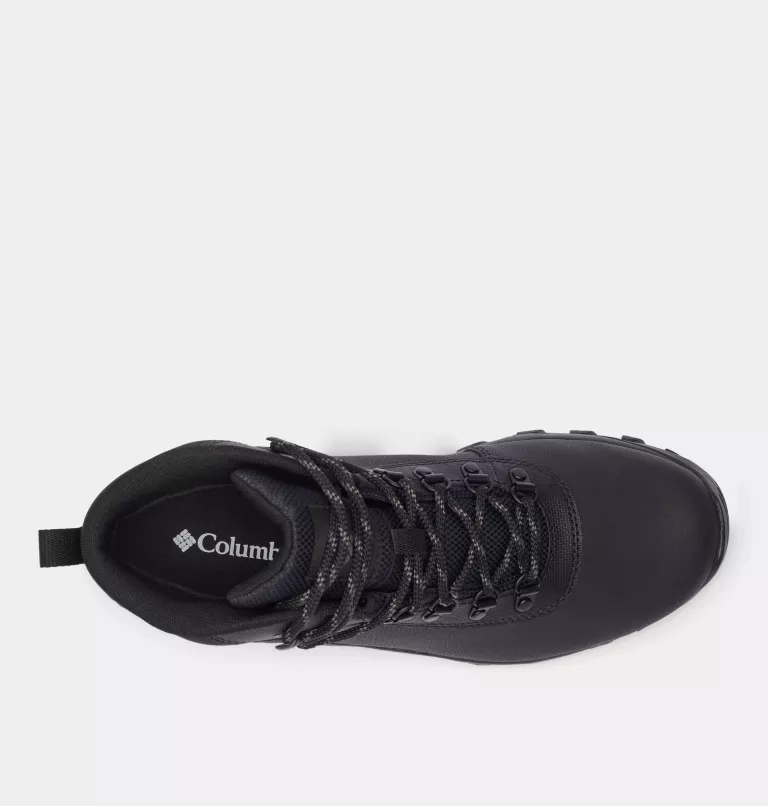 Newton Explorer
