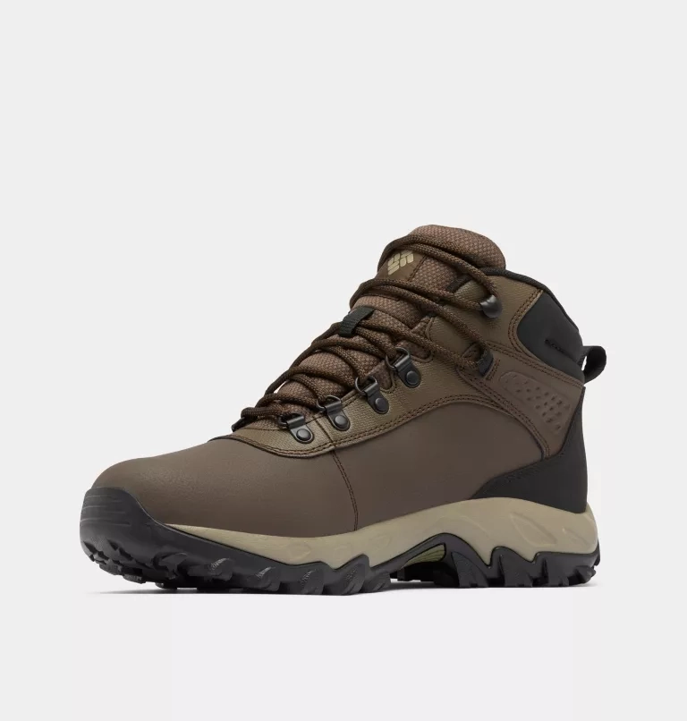 Newton Explorer