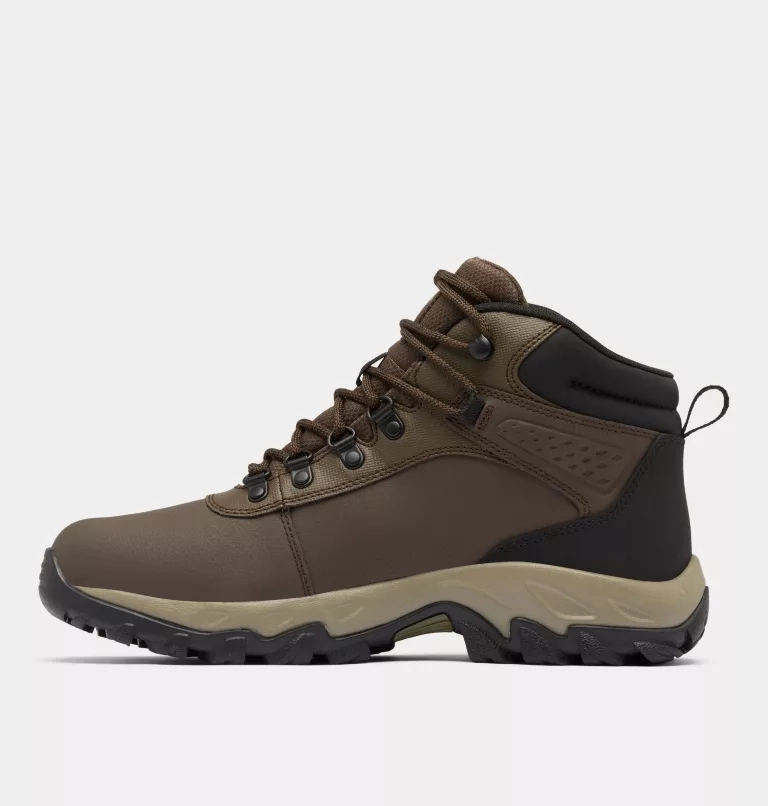 Newton Explorer