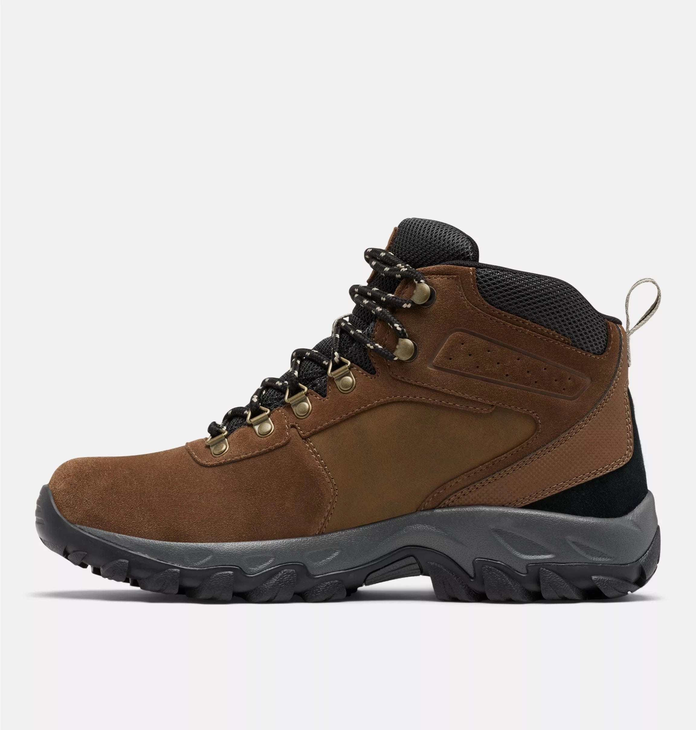 Newton Ridge? Plus II Suede WP