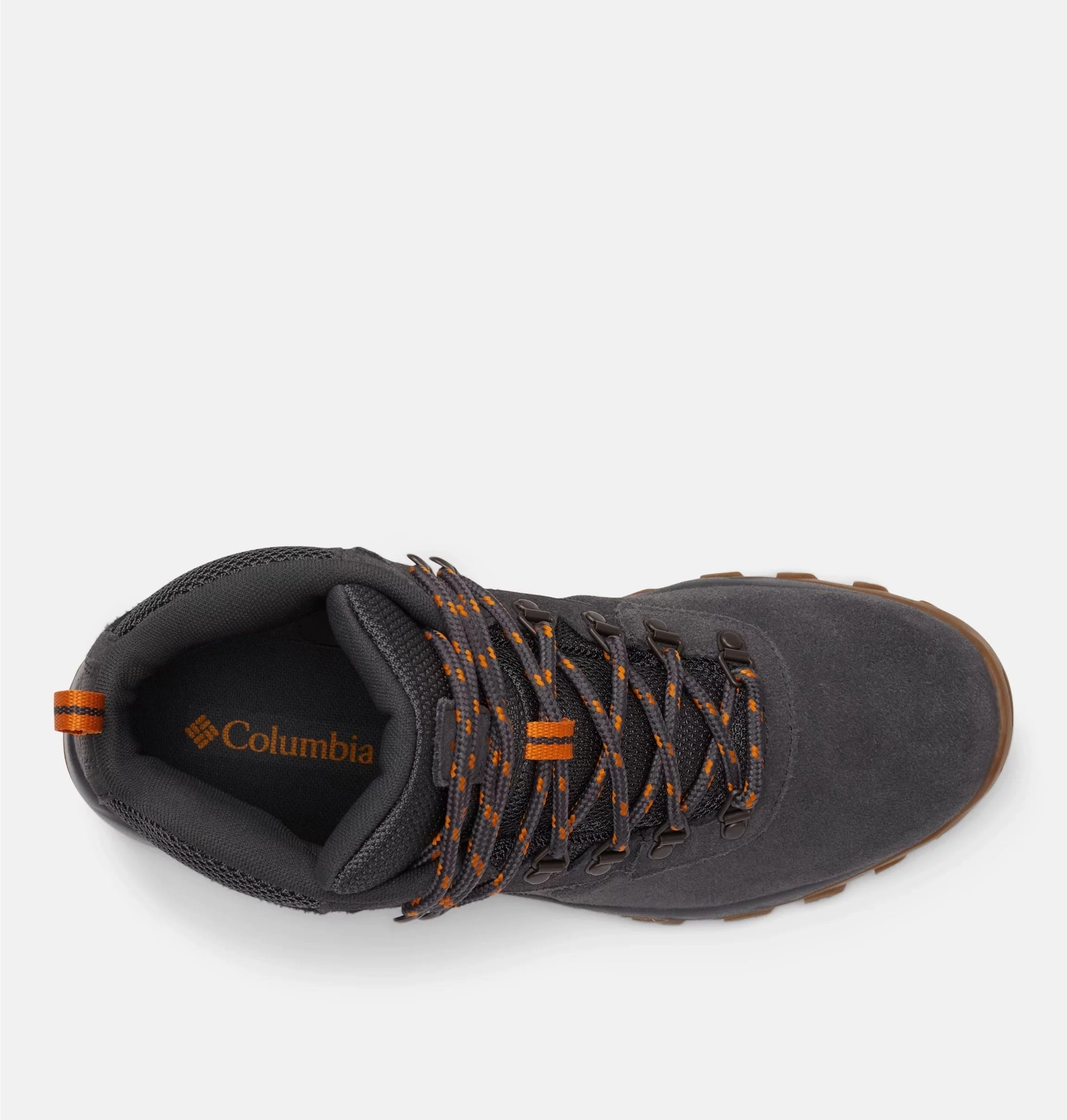 Newton Ridge? Plus II Suede WP