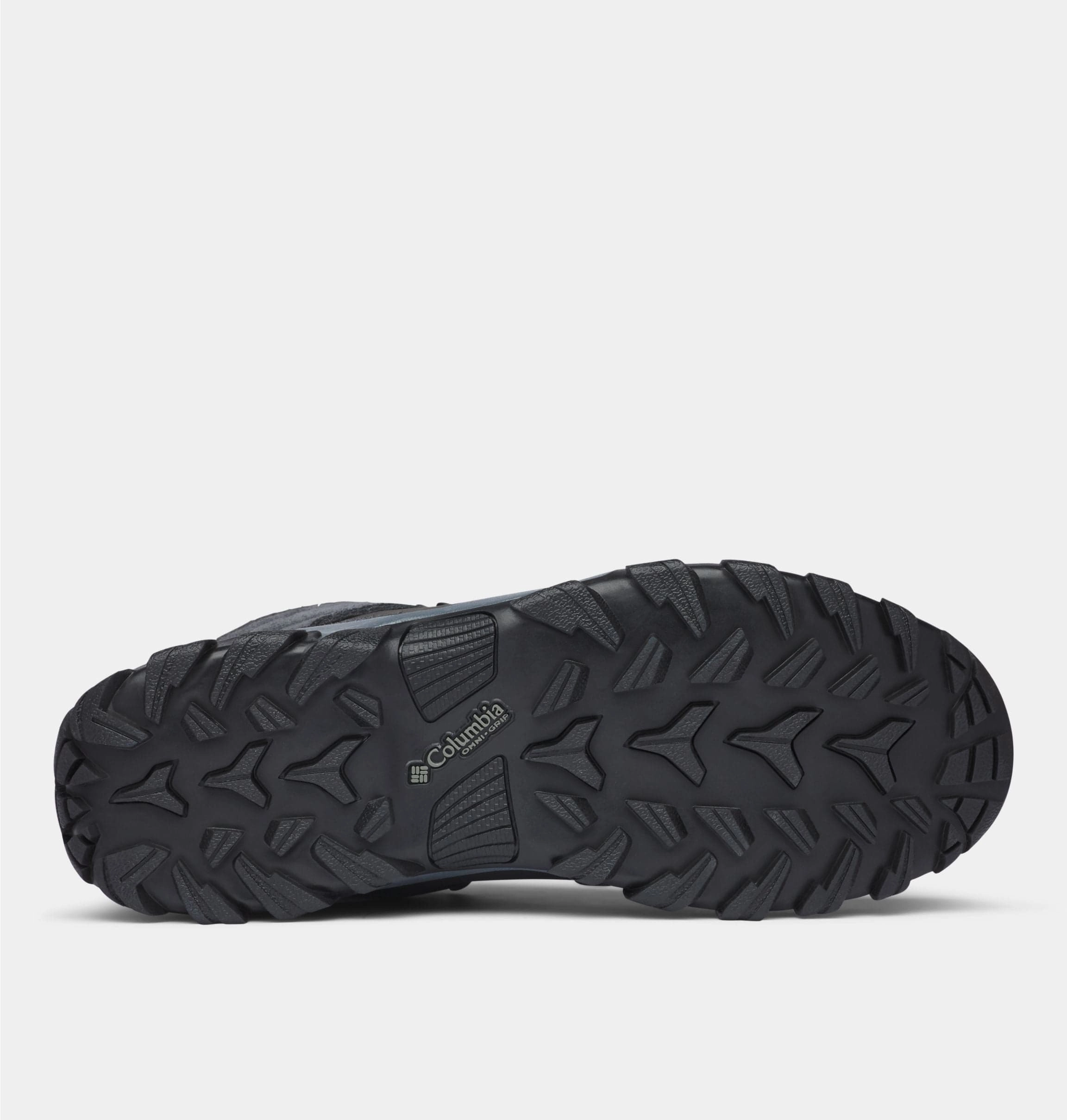 Newton Ridge? Plus II Suede WP