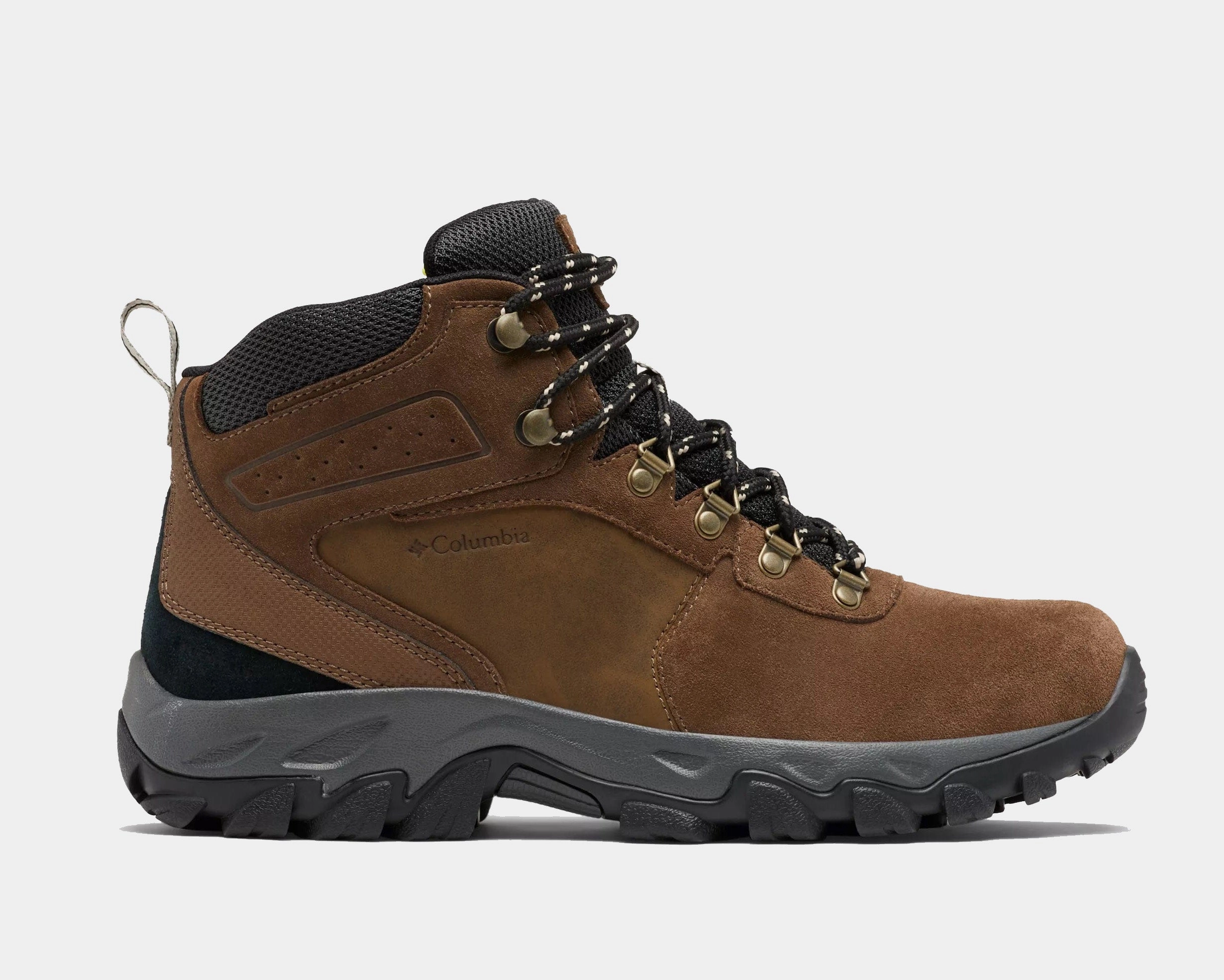 Newton Ridge? Plus II Suede WP