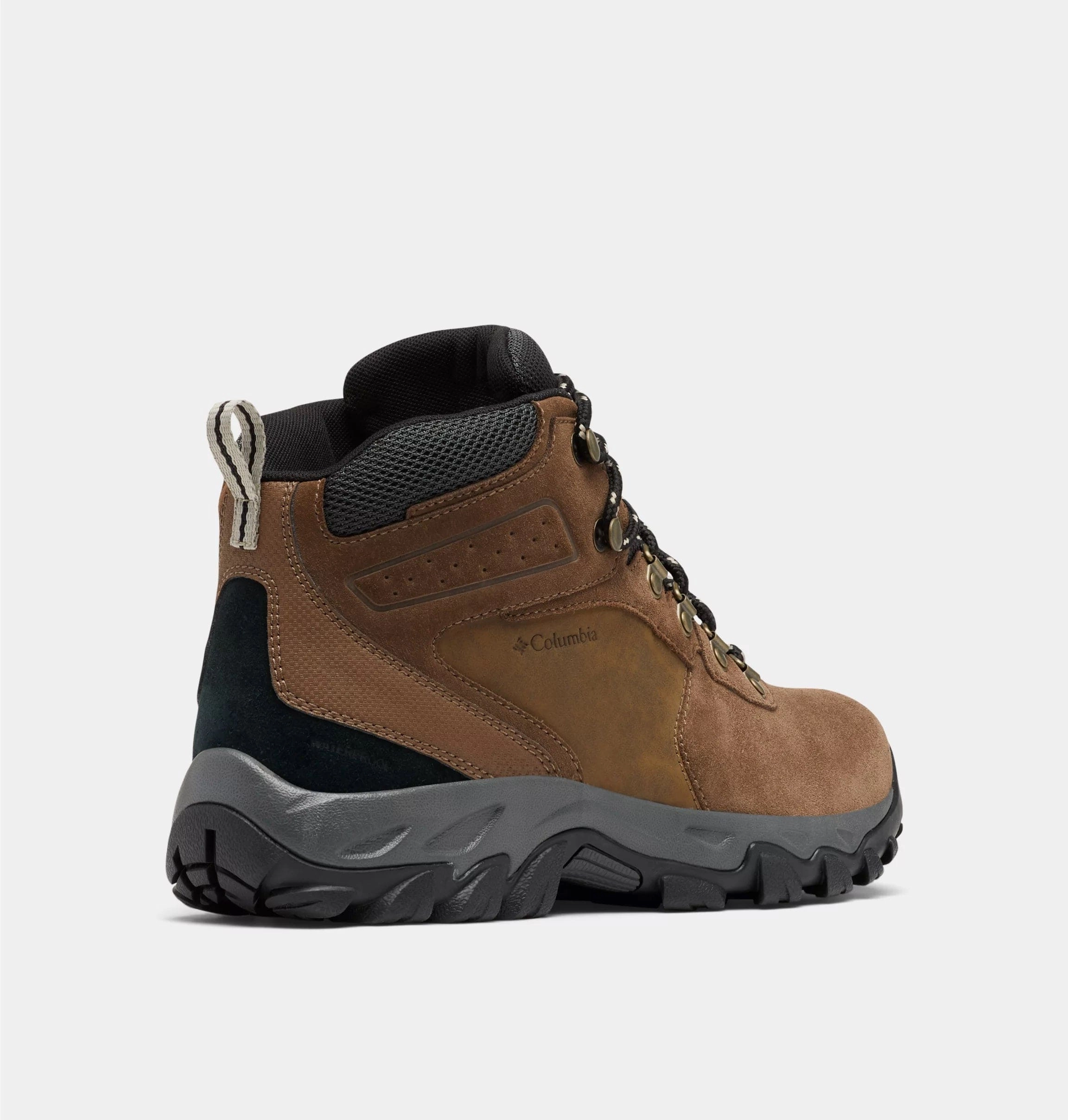 Newton Ridge? Plus II Suede WP