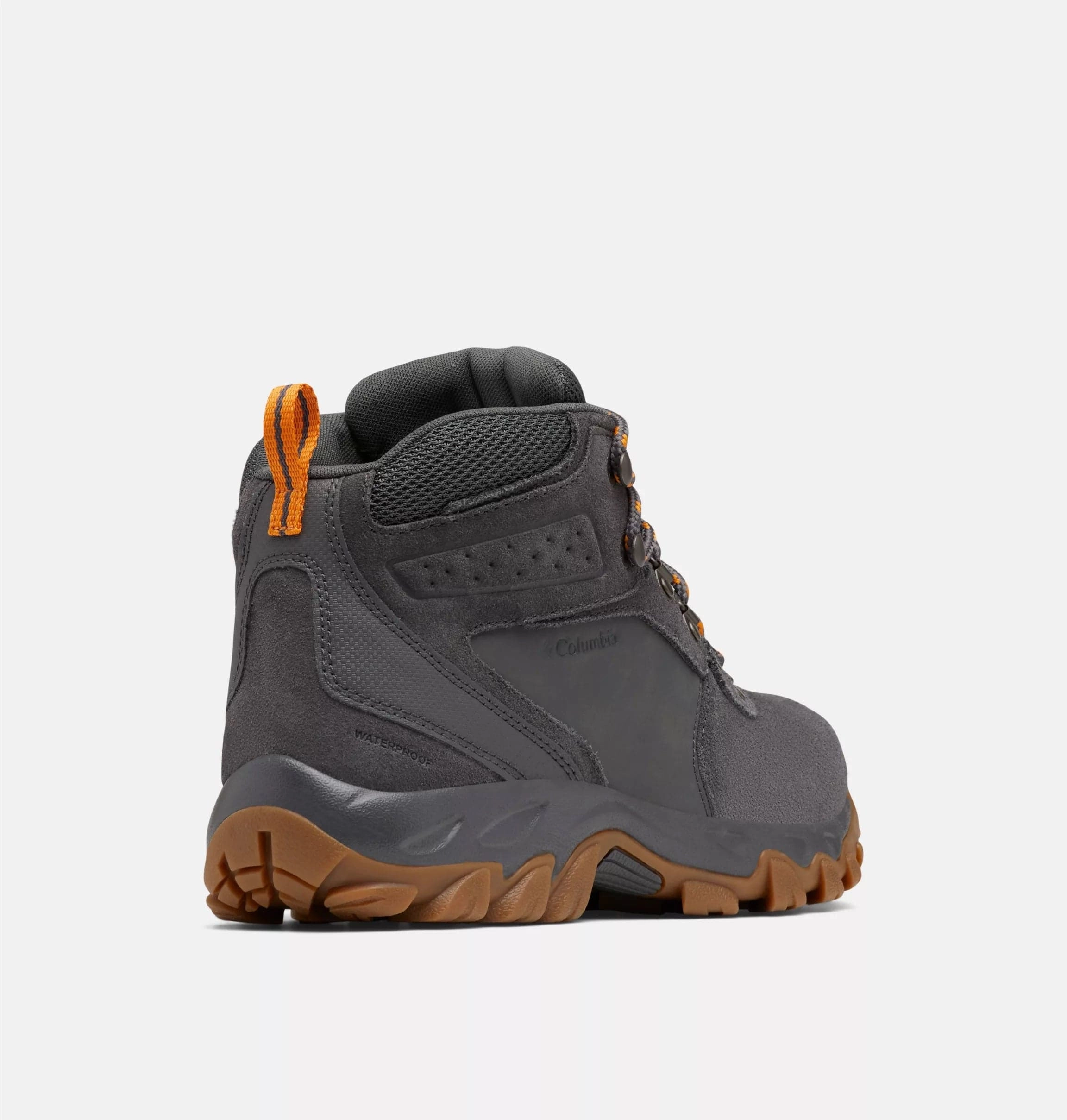 Newton Ridge? Plus II Suede WP