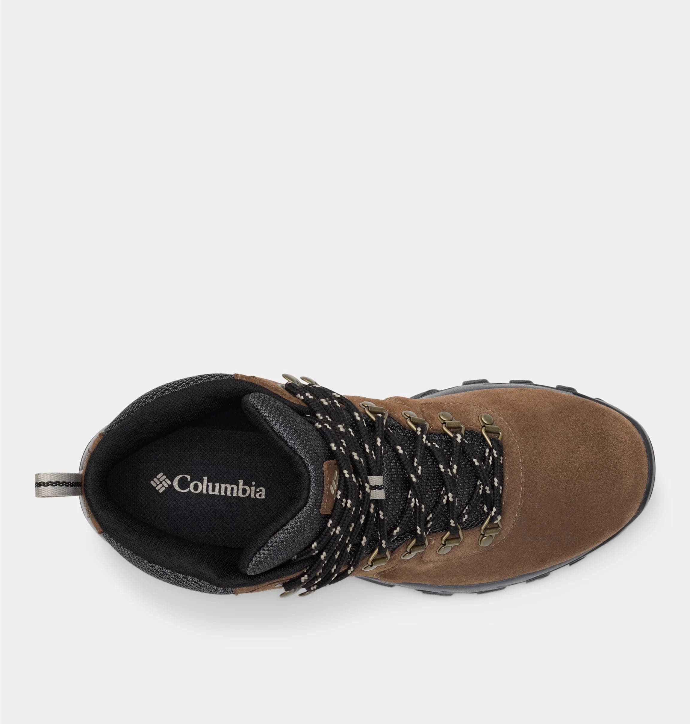 Newton Ridge? Plus II Suede WP