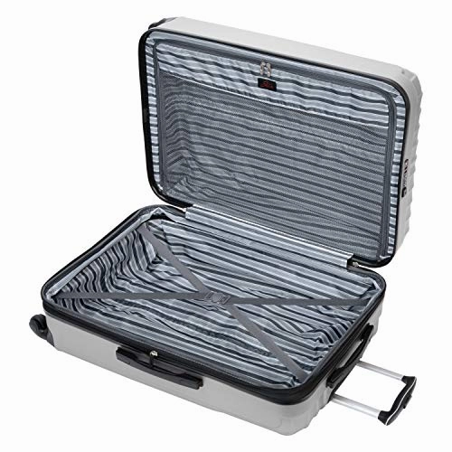 Skyway Epic Hardside 4-Wheel Luggage Spinner Collection (Silver, 28-Inch)