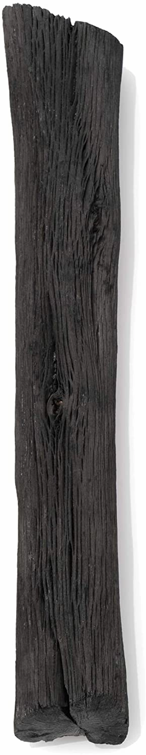 Sort of Coal - Kishu Binchotan (Pure White Charcoal Made from Hard Japanese Holm Oak)