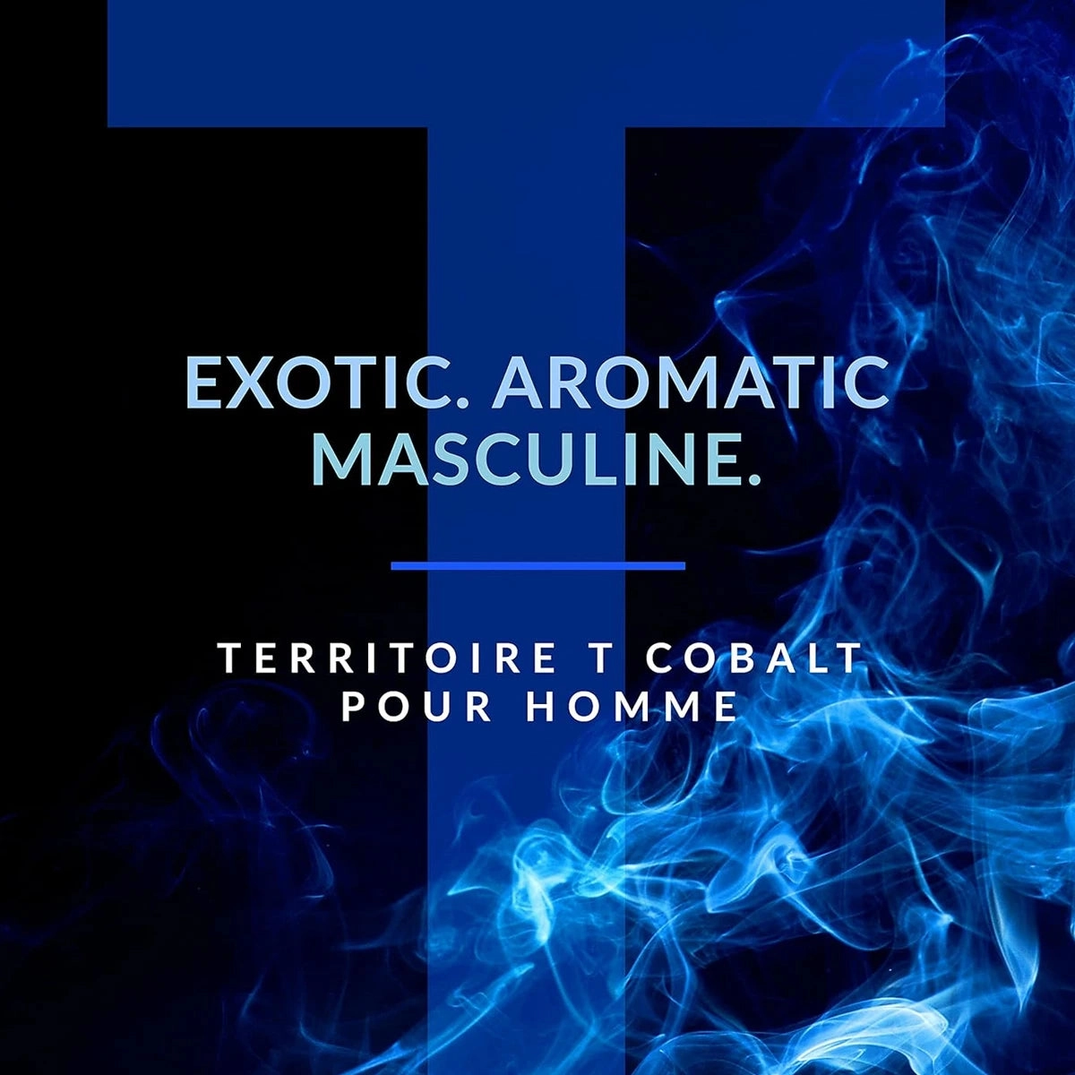 Territoire Cobalt 3.4 oz EDP for men