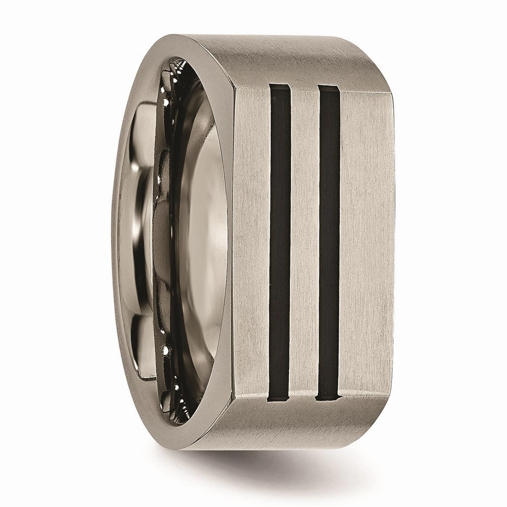 Titanium 10mm Black Enamel Stripes Brushed Band | TB250