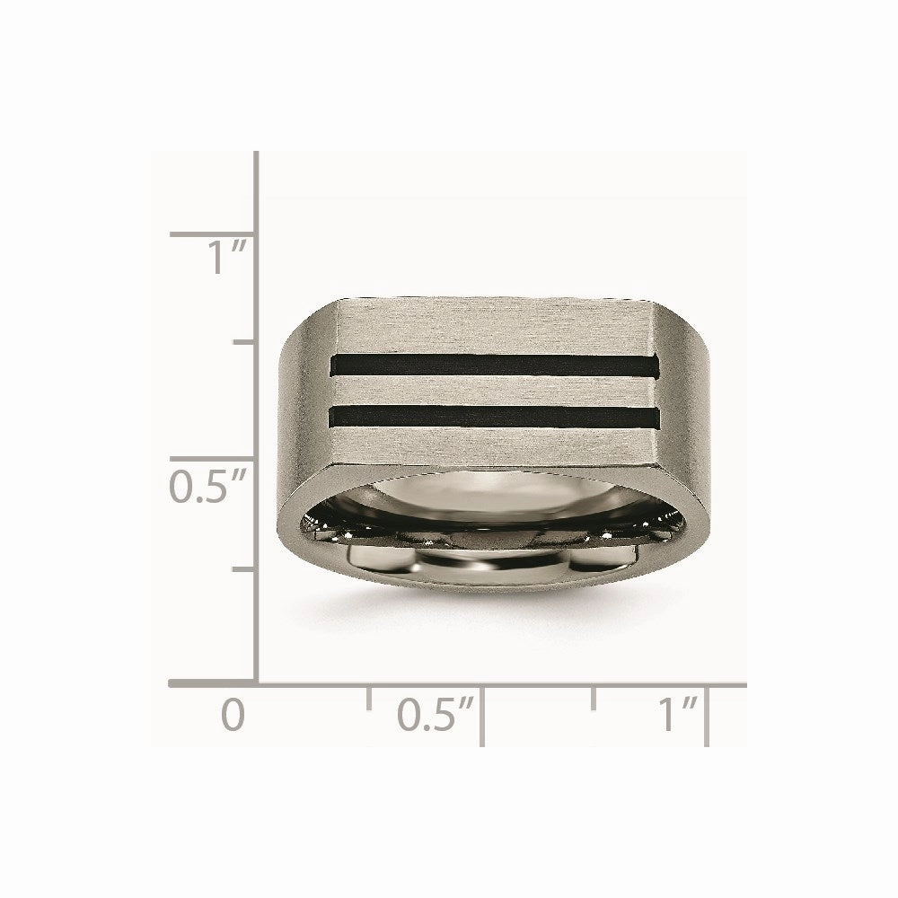 Titanium 10mm Black Enamel Stripes Brushed Band | TB250
