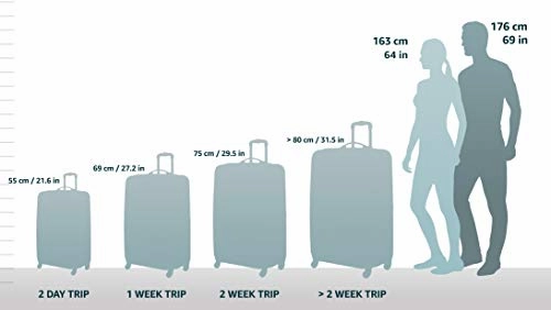 Traveler's Choice Conventional II Expandable Rugged Rollaboard Luggage, Red, Checked-Medium 25-Inch