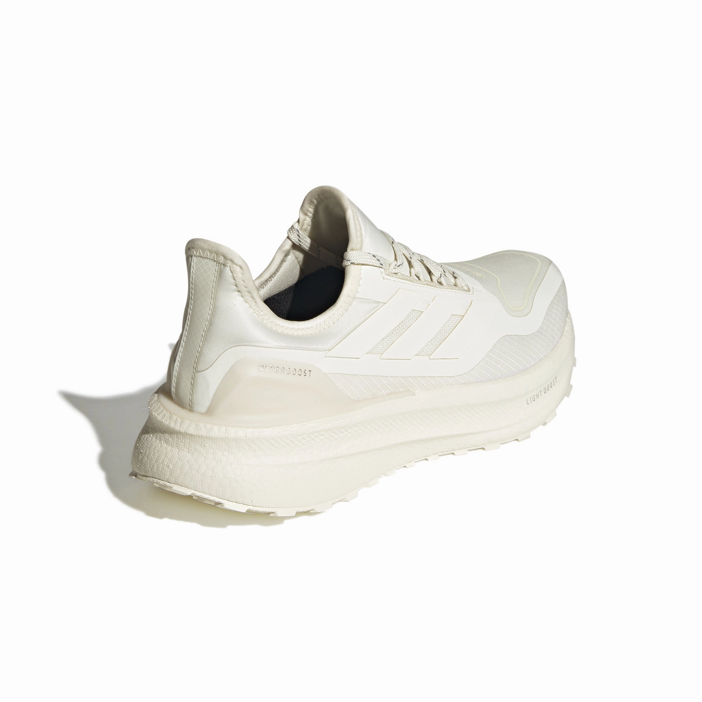 Ultraboost 5 GTX - Women's