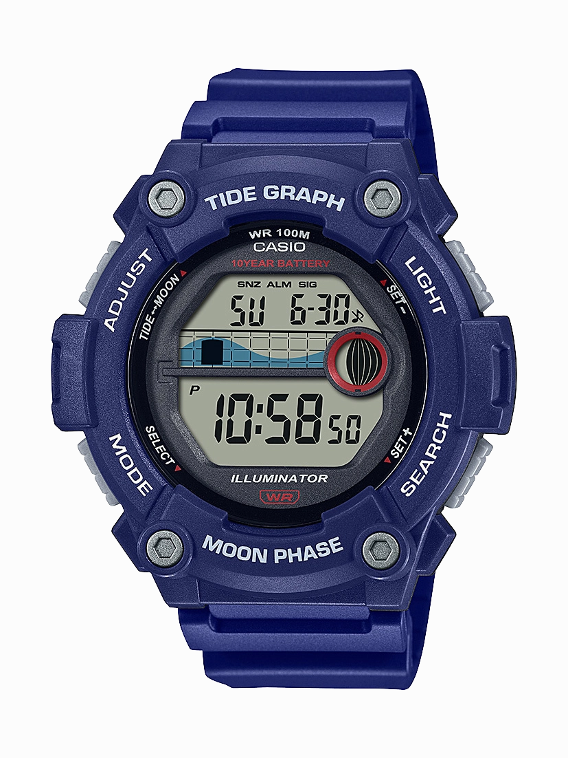 WS1300H-2A