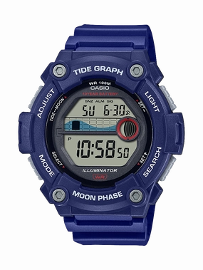 WS1300H-2A