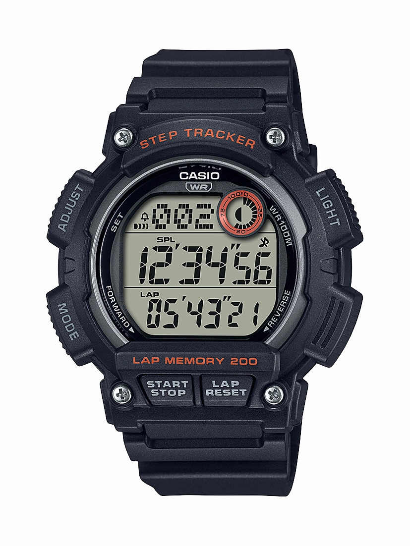 WS2100H-1A