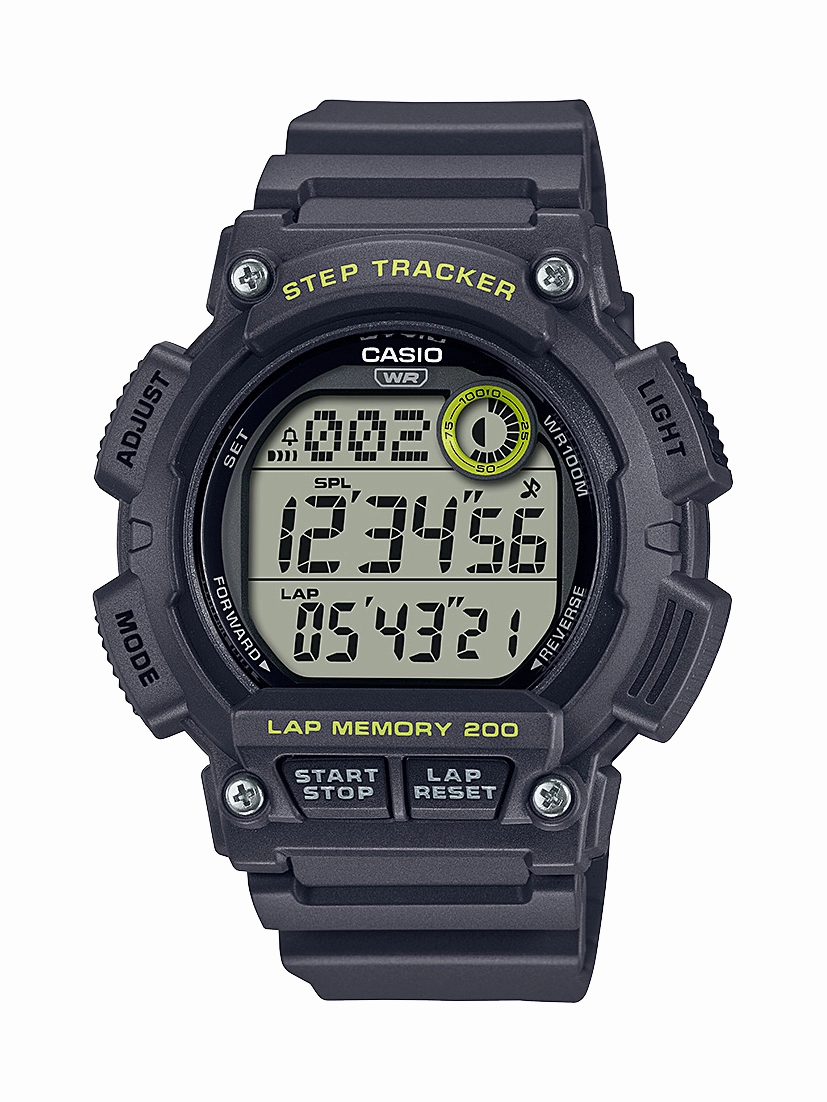 WS2100H-8A