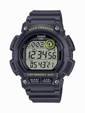 WS2100H-8A